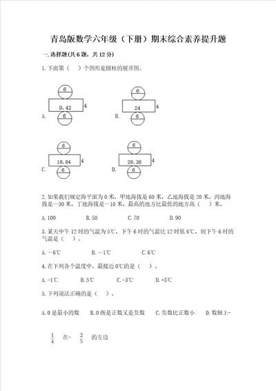 青岛版数学六年级下册期末综合素养提升题精品黄金题型