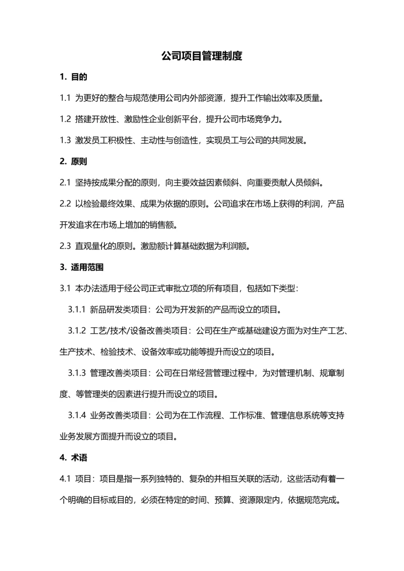 公司项目管理制度.docx