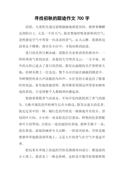 寻找初秋的踪迹作文700字.docx