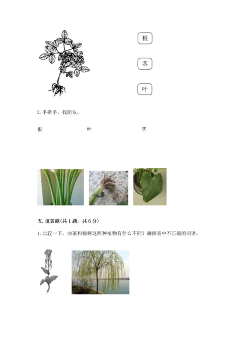 教科版科学一年级上册第一单元《植物》测试卷【必刷】.docx