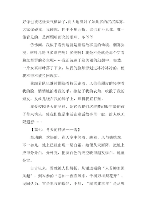 写冬景的作文500字.docx