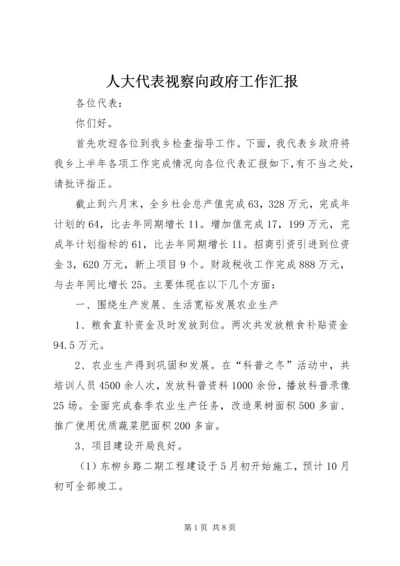 人大代表视察向政府工作汇报.docx