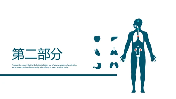 人体器官分布医学医疗ppt动态模板