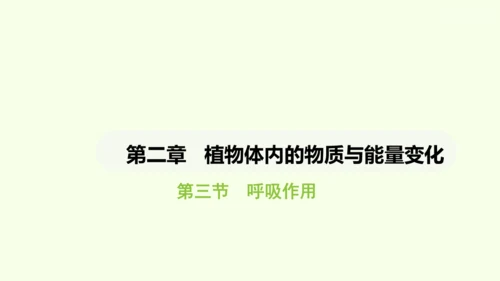 第三单元-第二章-第三节-呼吸作用课件-2024-2025学年七年级生物下学期人教版(2024)(共