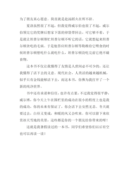 夏洛的网读后感800字-2.docx