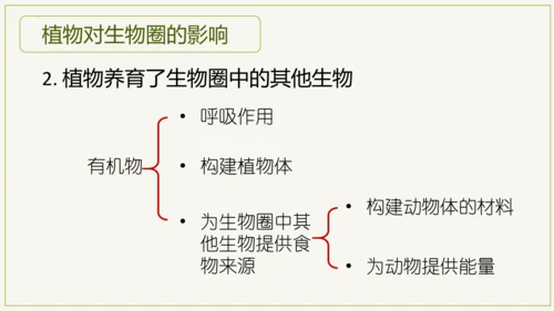 3.6 爱护植被，绿化祖国2023-2024学年七年级生物上学期同步精品课件（人教版）(共21张PP