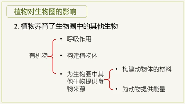 3.6 爱护植被，绿化祖国2023-2024学年七年级生物上学期同步精品课件（人教版）(共21张PP