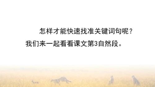 7 什么比猎豹的速度更快 第一课时 课件