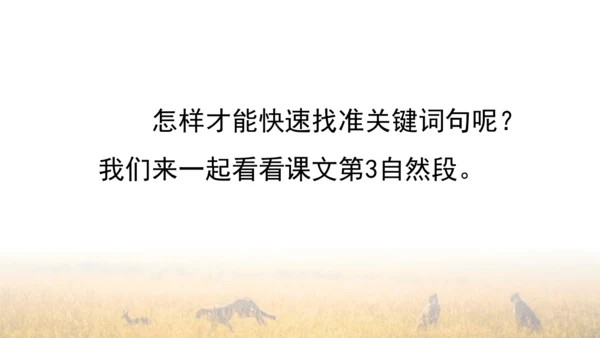 7 什么比猎豹的速度更快 第一课时 课件
