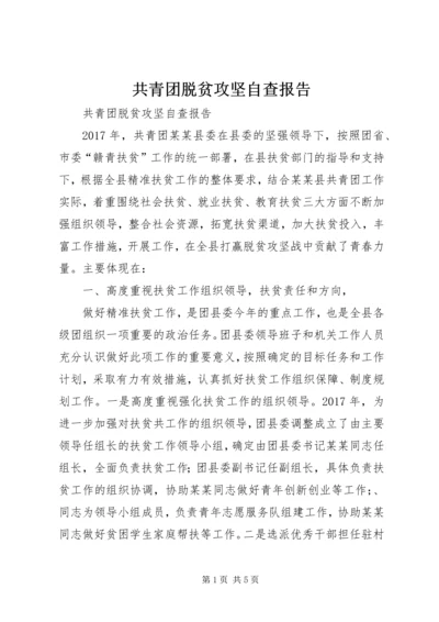 共青团脱贫攻坚自查报告.docx