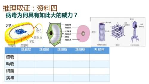 人教版生物八年级上册5.5《病毒》（课件）(共30张PPT)+视频素材