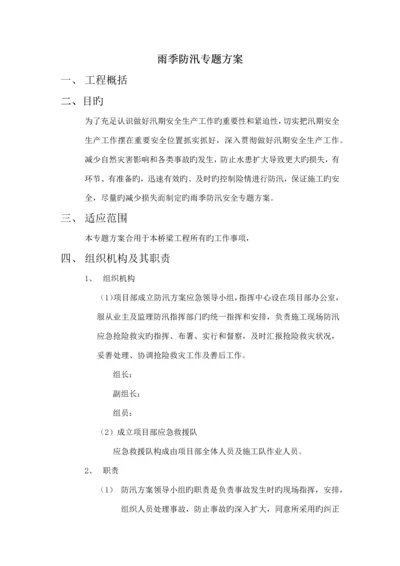 防汛专项方案.docx