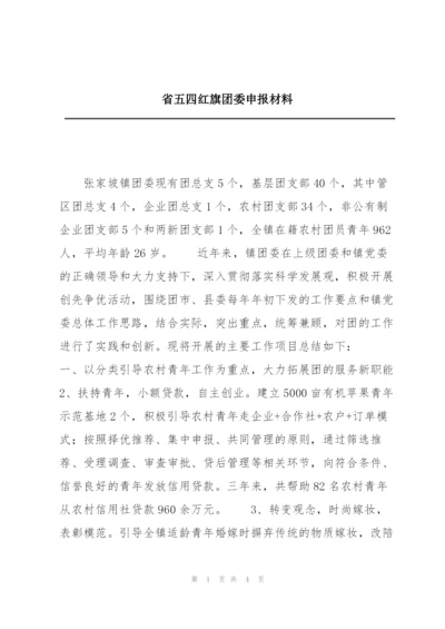 省五四红旗团委申报材料.docx