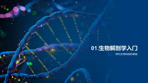 探究生物解剖学