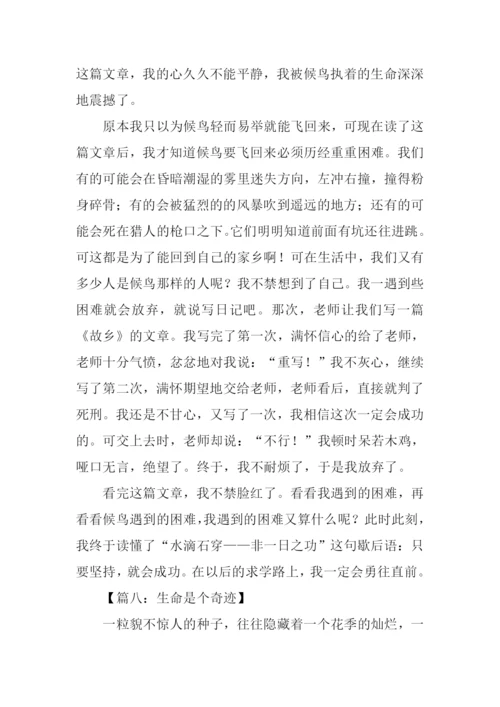 有关感悟生命的作文.docx