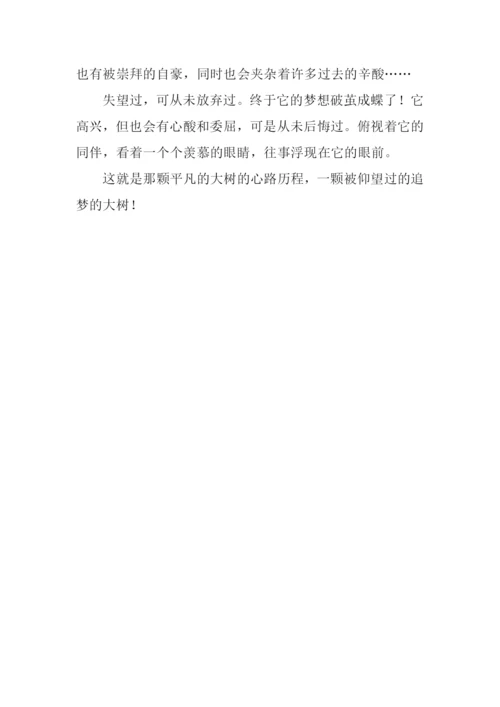 仰望大树作文600字-1.docx