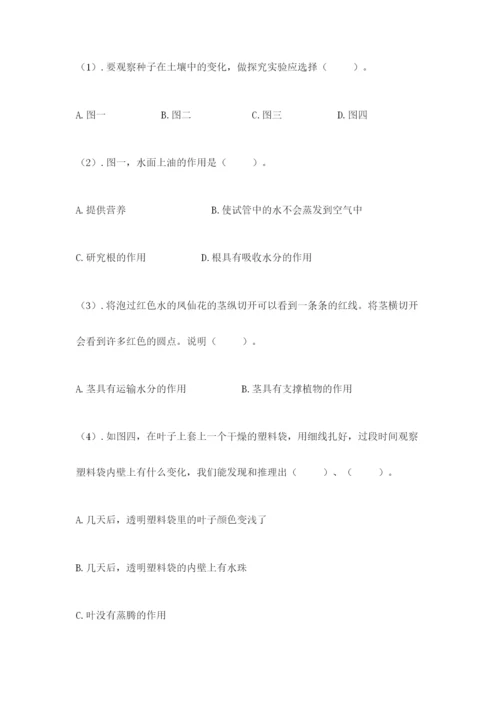 科学四年级下册第一单元植物的生长变化测试卷【word】.docx