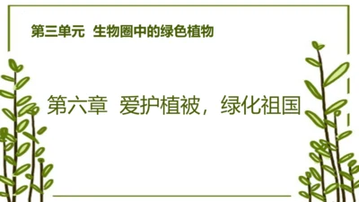 3.6 爱护植被，绿化祖国2023-2024学年七年级生物上学期同步精品课件（人教版）(共21张PP