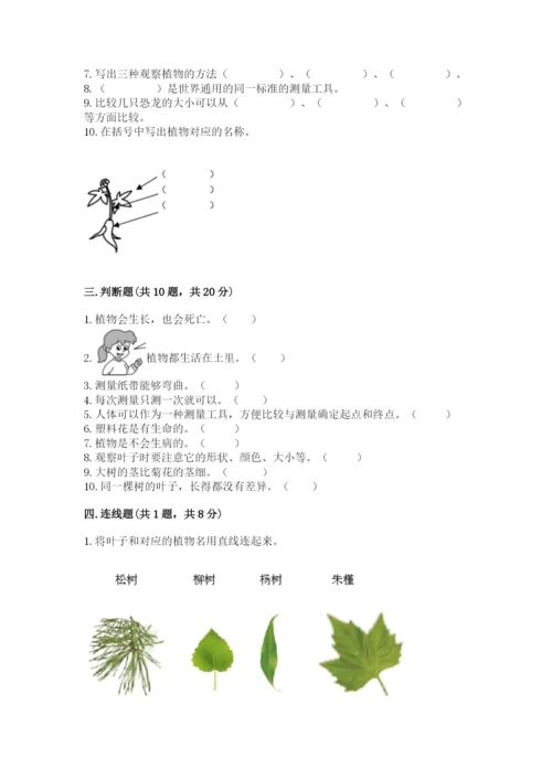 教科版一年级上册科学期末测试卷精品（名师推荐）.docx