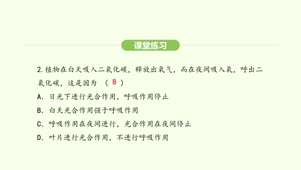 第三单元-第二章-第三节-呼吸作用课件-2024-2025学年七年级生物下学期人教版(2024)(共