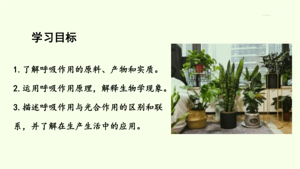 3.2.3呼吸作用-七年级生物下学期同步精品课件（2024人教版）(共24张PPT)