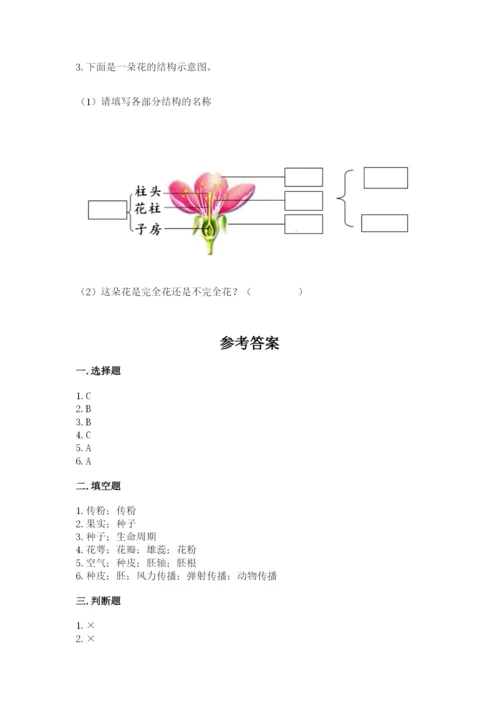科学四年级下册第一单元植物的生长变化测试卷【精华版】.docx