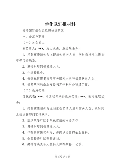 禁化武汇报材料 (2).docx