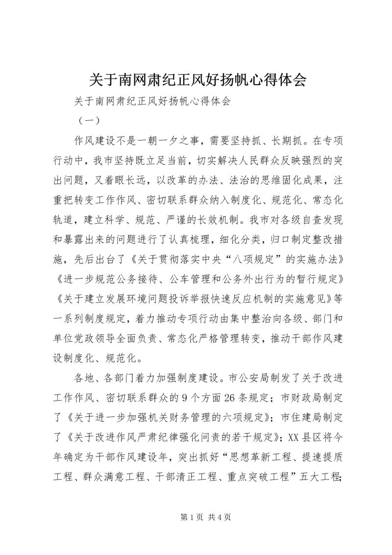 关于南网肃纪正风好扬帆心得体会.docx