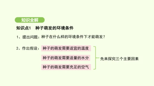 第三单元-第一章-第一节-种子的萌发课件-2024-2025学年七年级生物下学期人教版(2024)(