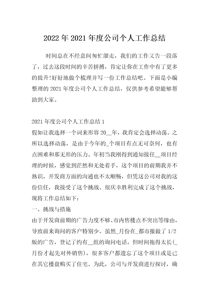 2022年2021年度公司个人工作总结