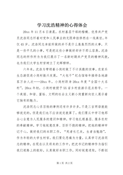 学习沈浩精神的心得体会.docx