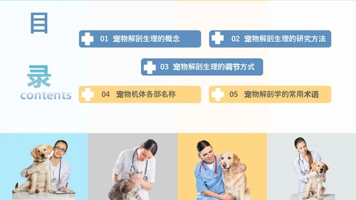 实拍风宠物解剖生理宠物解剖生理讲座PPT