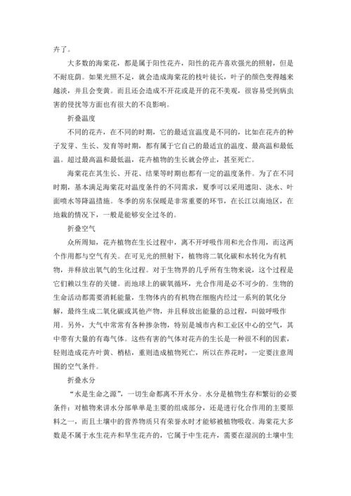海棠花的介绍.docx