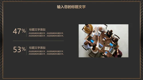 黑金商务项目总结PPT模板