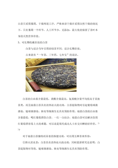 福鼎白茶企划书