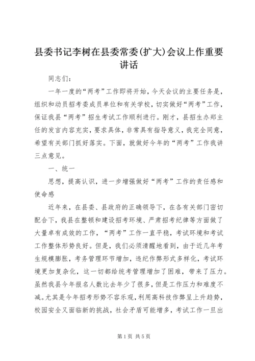 县委书记李树在县委常委(扩大)会议上作重要讲话.docx