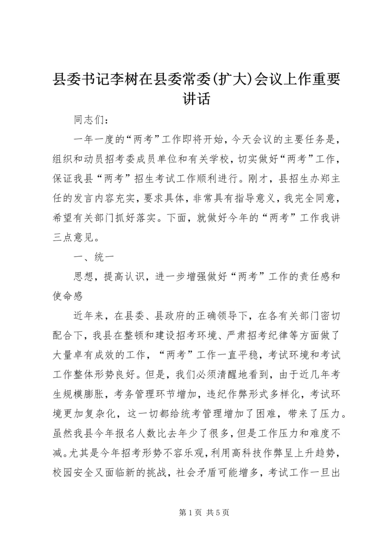 县委书记李树在县委常委(扩大)会议上作重要讲话.docx