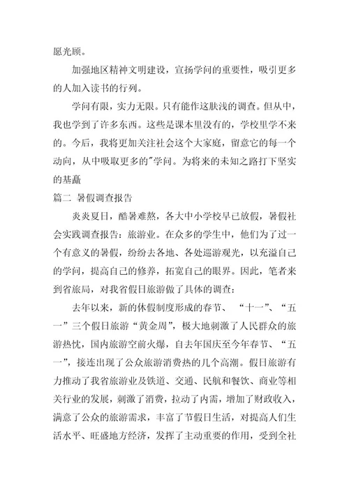 2024年暑假调查报告八篇