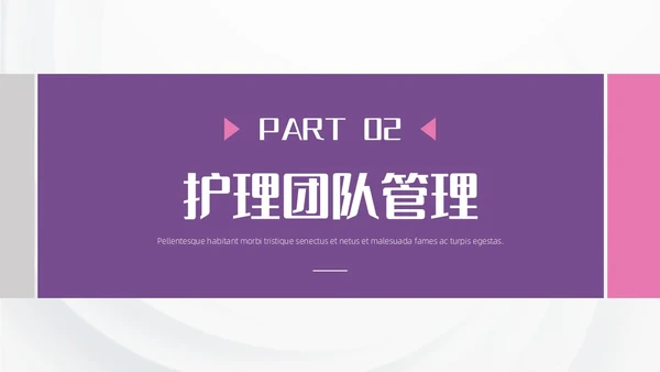 紫粉色形状插画简约风护士长述职报告通用PPT模板