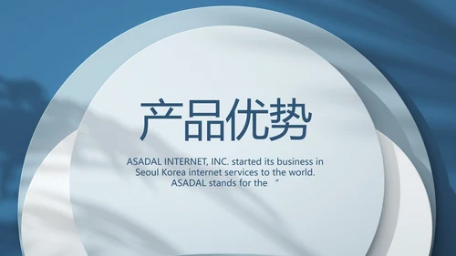 蓝色大气公司产品介绍宣传通用PPT