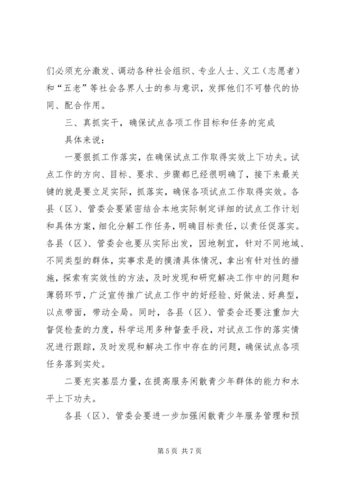 副书记在青少年管理工作会讲话.docx