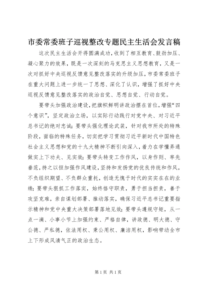 市委常委班子巡视整改专题民主生活会发言稿.docx