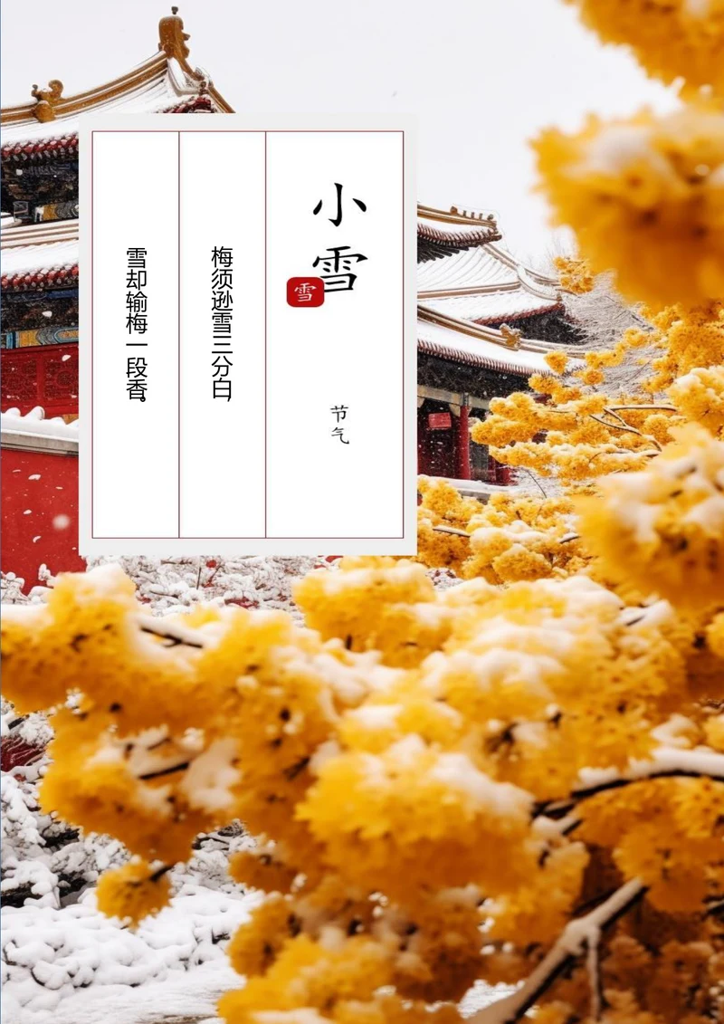 小雪节气小雪海报