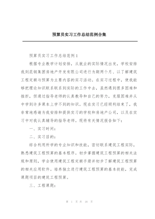 预算员实习工作总结范例合集.docx