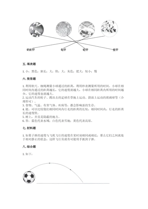 教科版科学三年级下册 期末测试卷含答案（精练）.docx