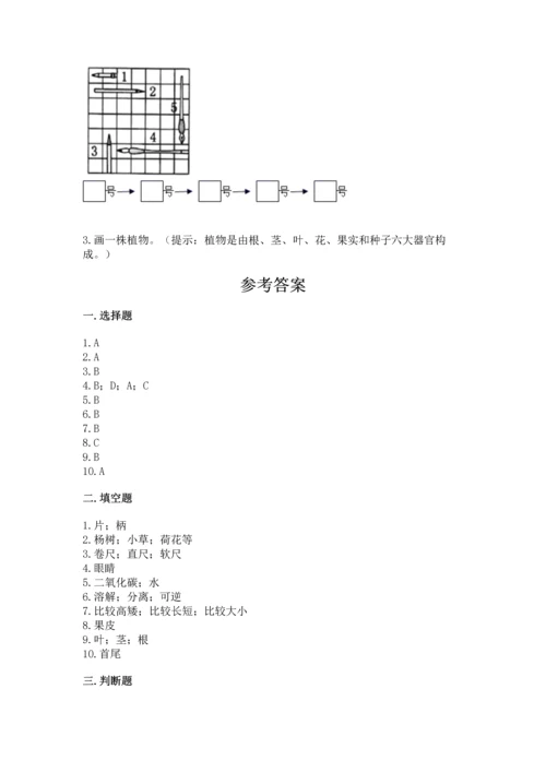 教科版一年级上册科学期末测试卷精品【夺冠系列】.docx