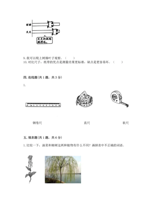 教科版一年级上册科学期末测试卷加精品答案.docx