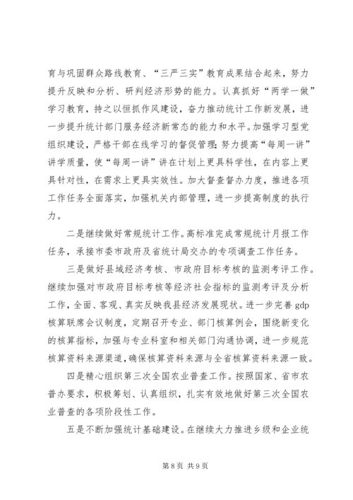 统计局XX年上半年工作总结及下半年工作安排精编.docx