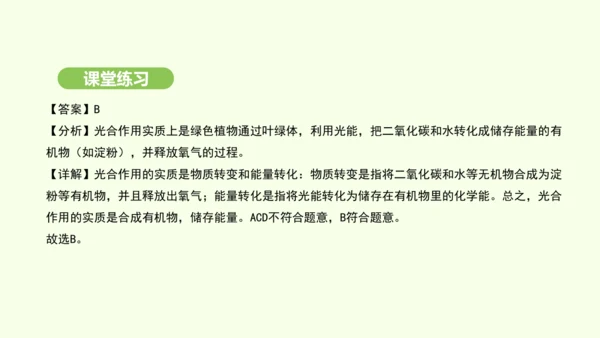 第三单元-第二章-第二节-光合作用-第3课时 光合作用的实质和应用课件-2024-2025学年七年级