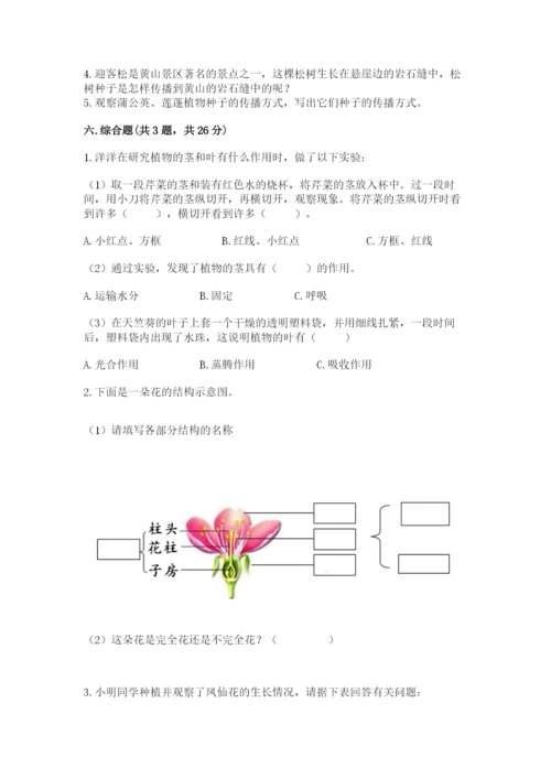 科学四年级下册第一单元《植物的生长变化》测试卷含答案【培优b卷】.docx
